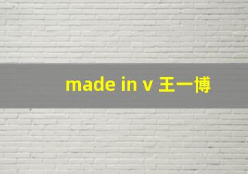 made in v 王一博